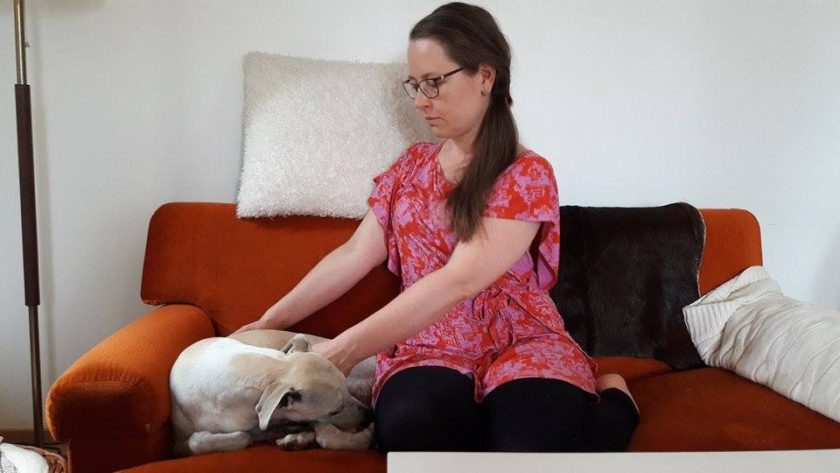 lemmikki koira energiahoito reiki Helsinki